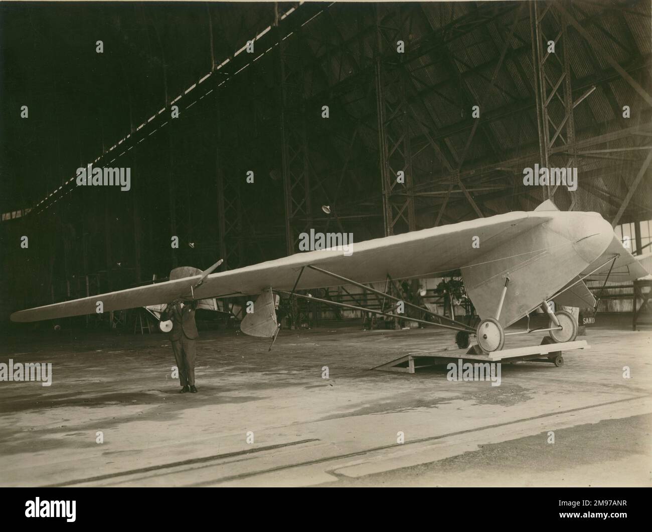 Hill Pterodactyl i, J8067. Foto Stock