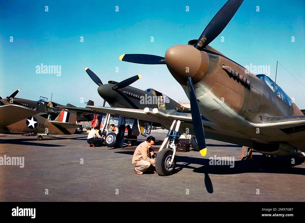 North American Aviation P-51 - NA-91 'Apache' (in seguito chiamato Mustang) - un combattente americano a lunga distanza, monoposto e caccia-bombardiere utilizzato durante la seconda guerra mondiale e la guerra di Corea, fotografato presso la fabbrica di Inglewood, California, 1942. Foto Stock