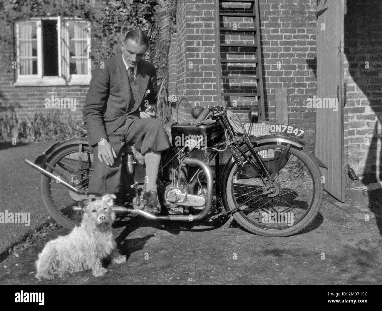 Uomo in moto con un cane. Foto Stock