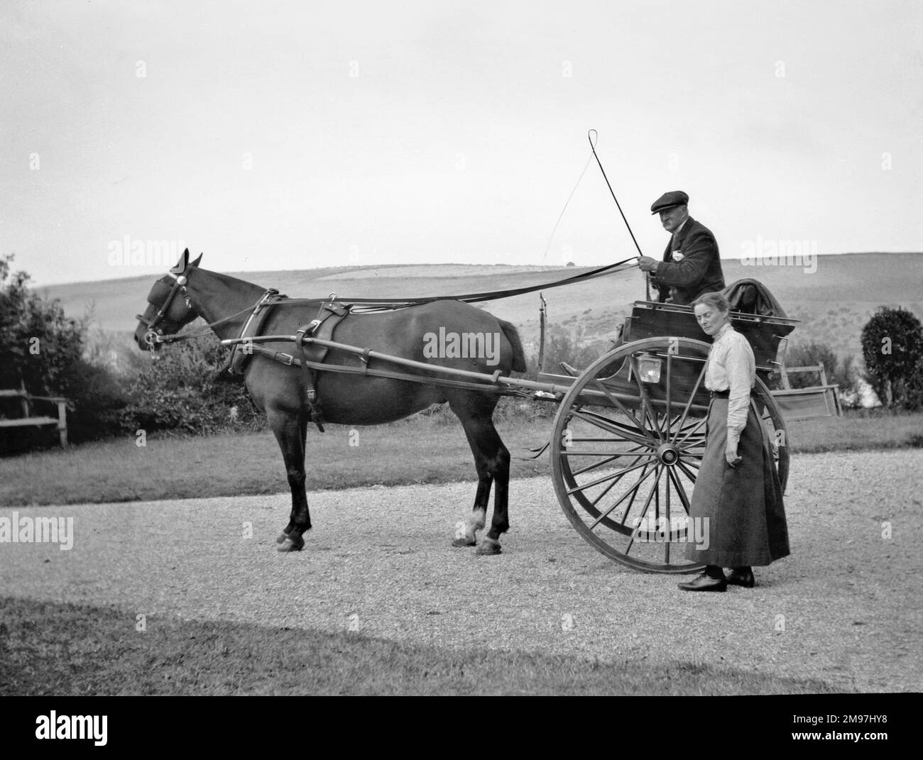 Una coppia di mezza età con una trappola trainata da cavalli. Foto Stock