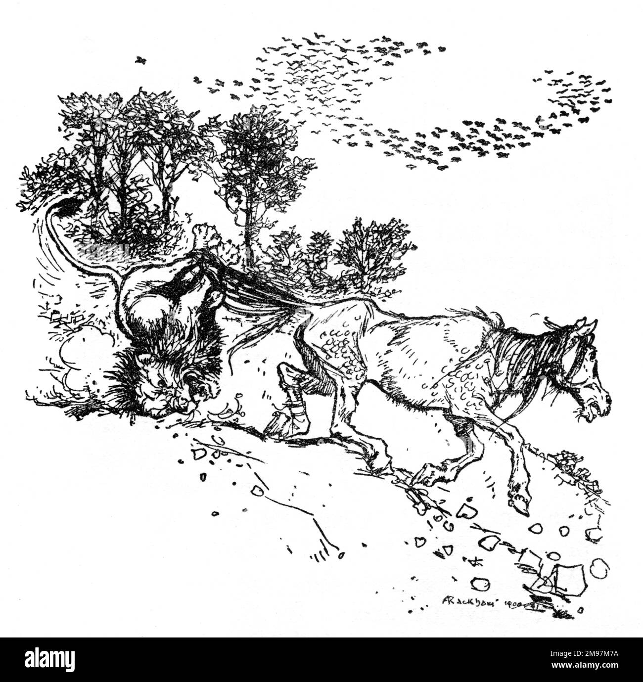 Illustrazione, la volpe ed il cavallo -- allora il cavallo ha sorto in su ed ha tirato il leone via dietro lui. Foto Stock