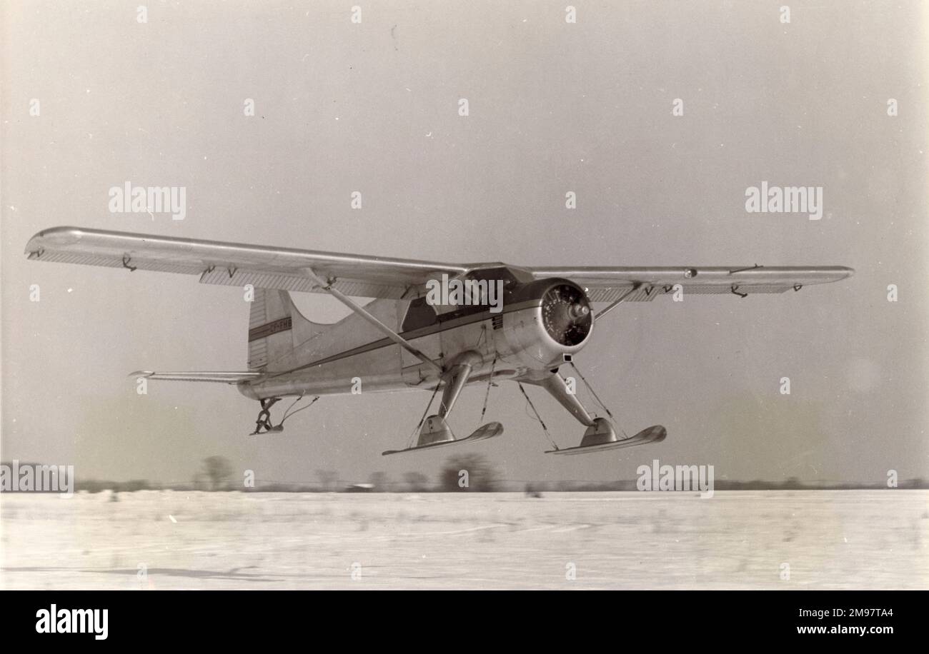 Il primo prototipo de Havilland Canada DHC2 Beaver, CF-FHB-X, dotato di un carro da sci. Foto Stock