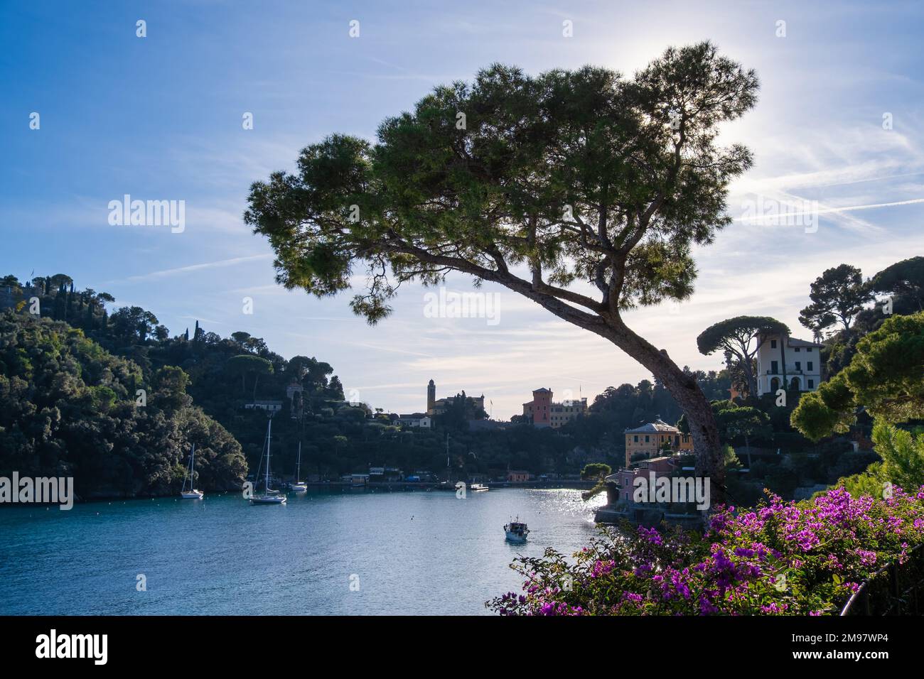 Villagescape costieri e barche in porto, Portofino, Liguria, Italia Foto Stock