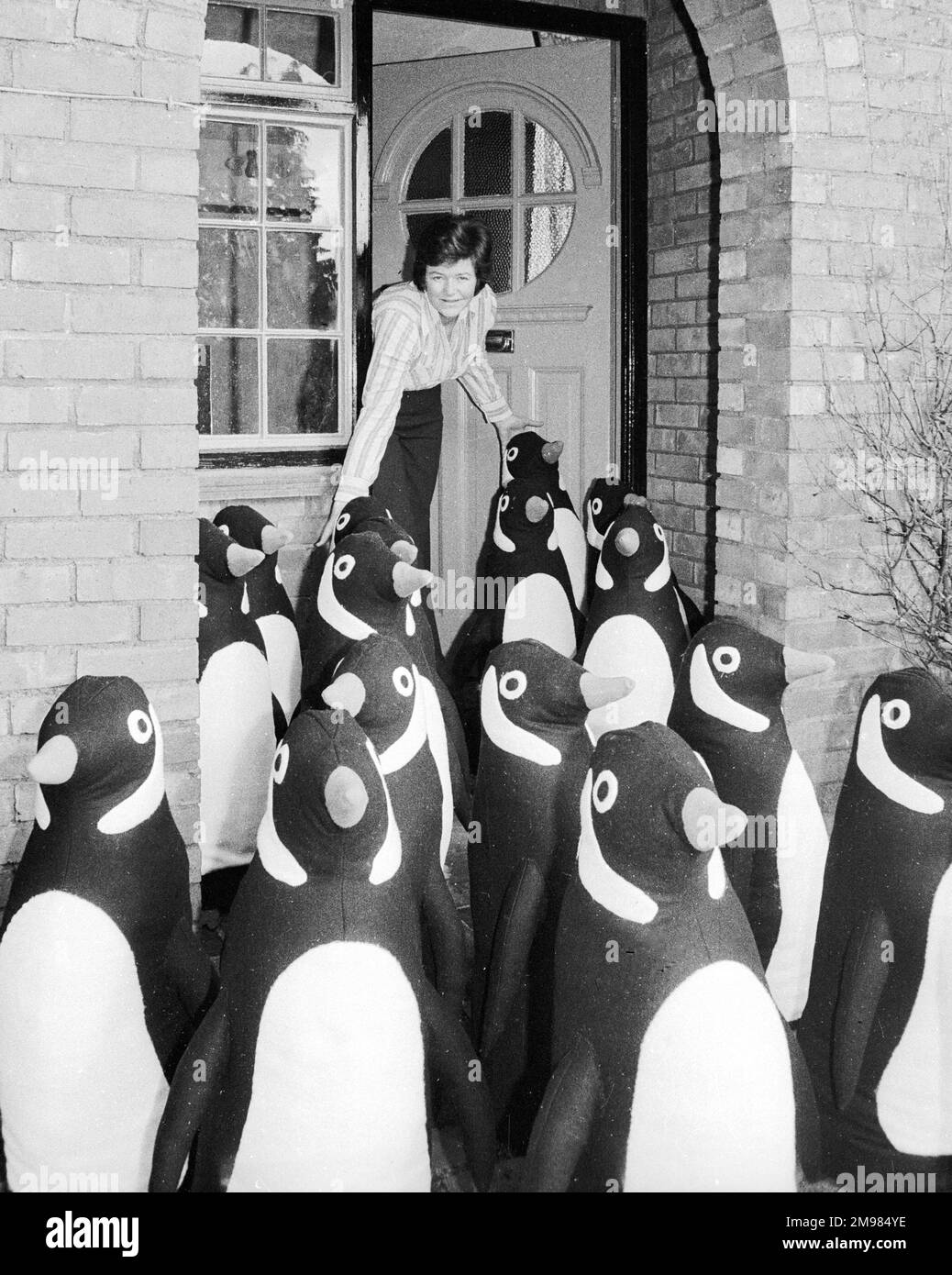 Una massa di pinguini modello fuori una casa suburbana - che cosa sta succedendo qui?! Foto Stock