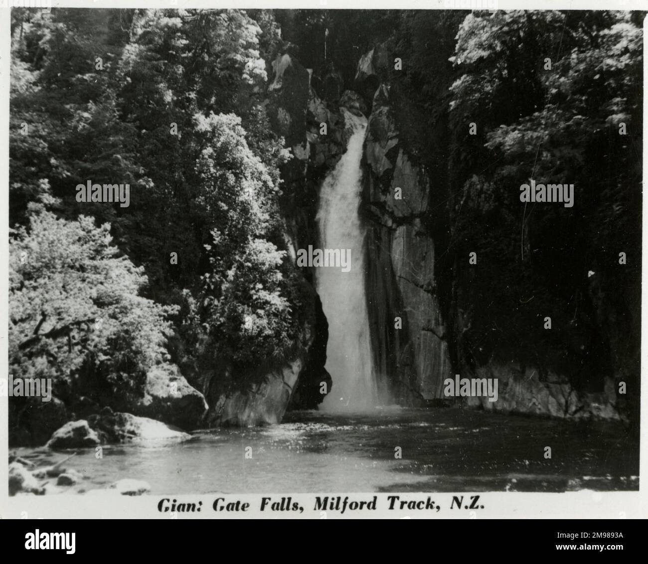 Milford Track (Piopiotahi), South Island, Nuova Zelanda -- le cascate Giant Gate. Foto Stock