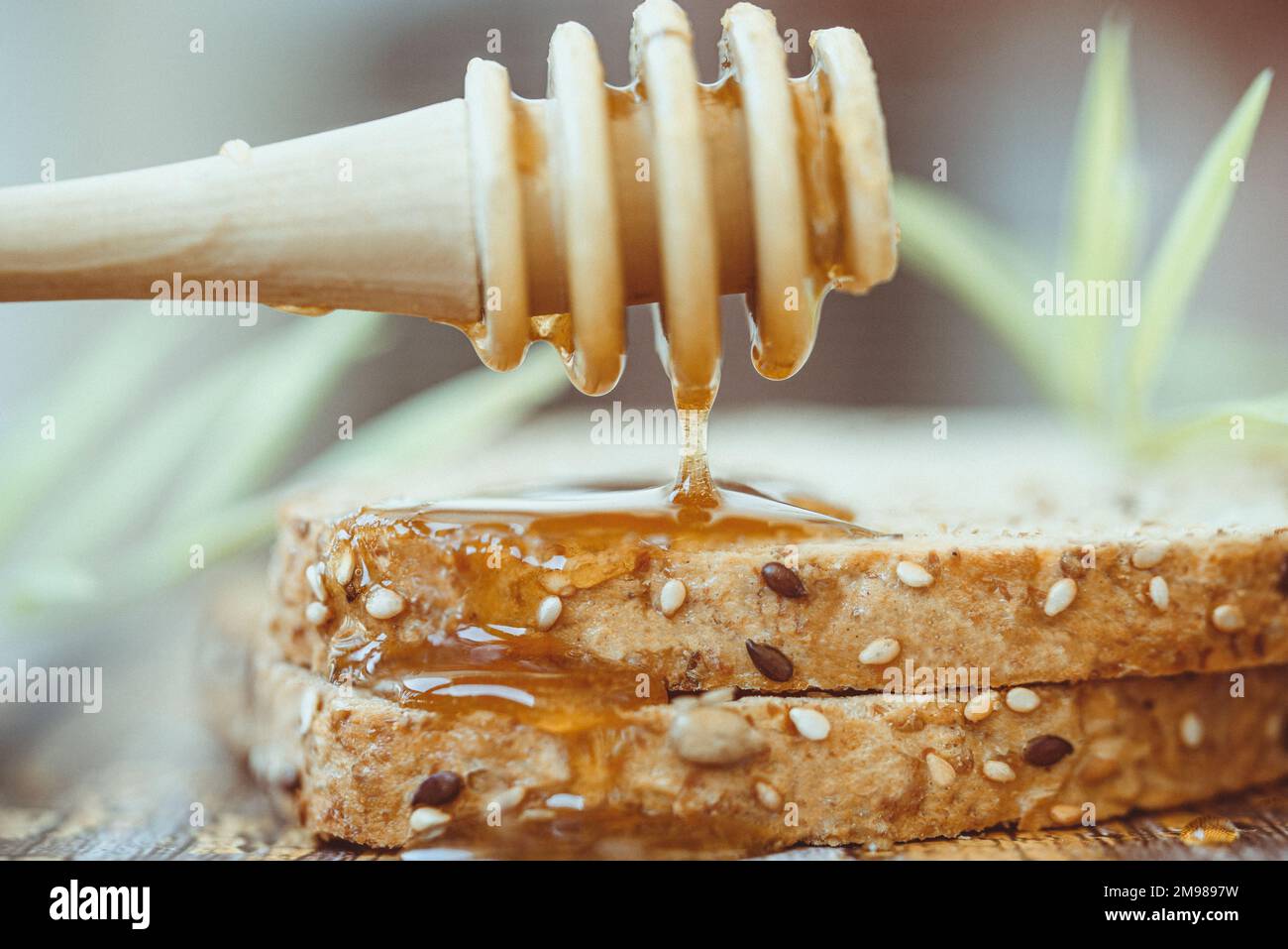 Primo piano di un miele gocciolante di miele su una fetta di pane tostato marrone seminato Foto Stock