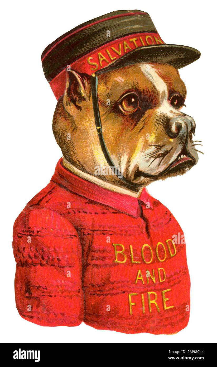 Rottami vittoriani - sangue e fuoco, Bulldog dell'Esercito della salvezza. Foto Stock