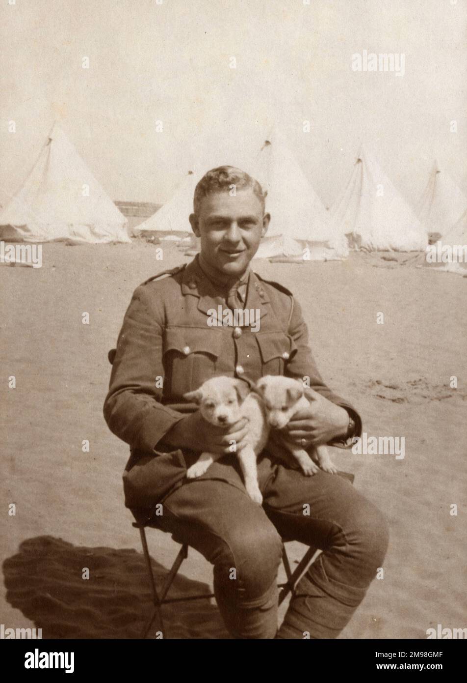 Soldato (Albert Auerbach) nel campo di Gallipoli, con due cuccioli. Foto Stock