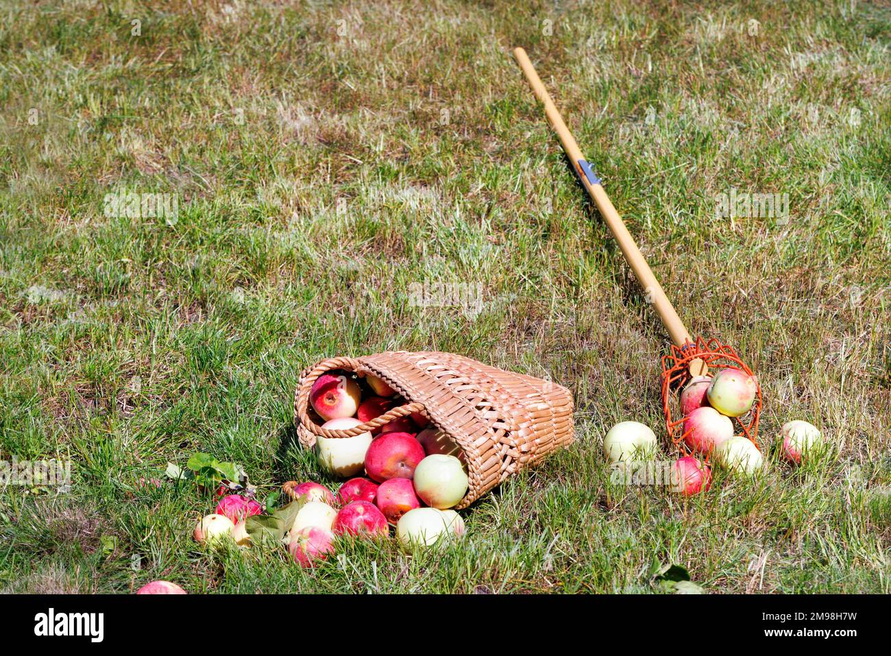 Raccogli frutta in legno immagini e fotografie stock ad alta risoluzione -  Alamy