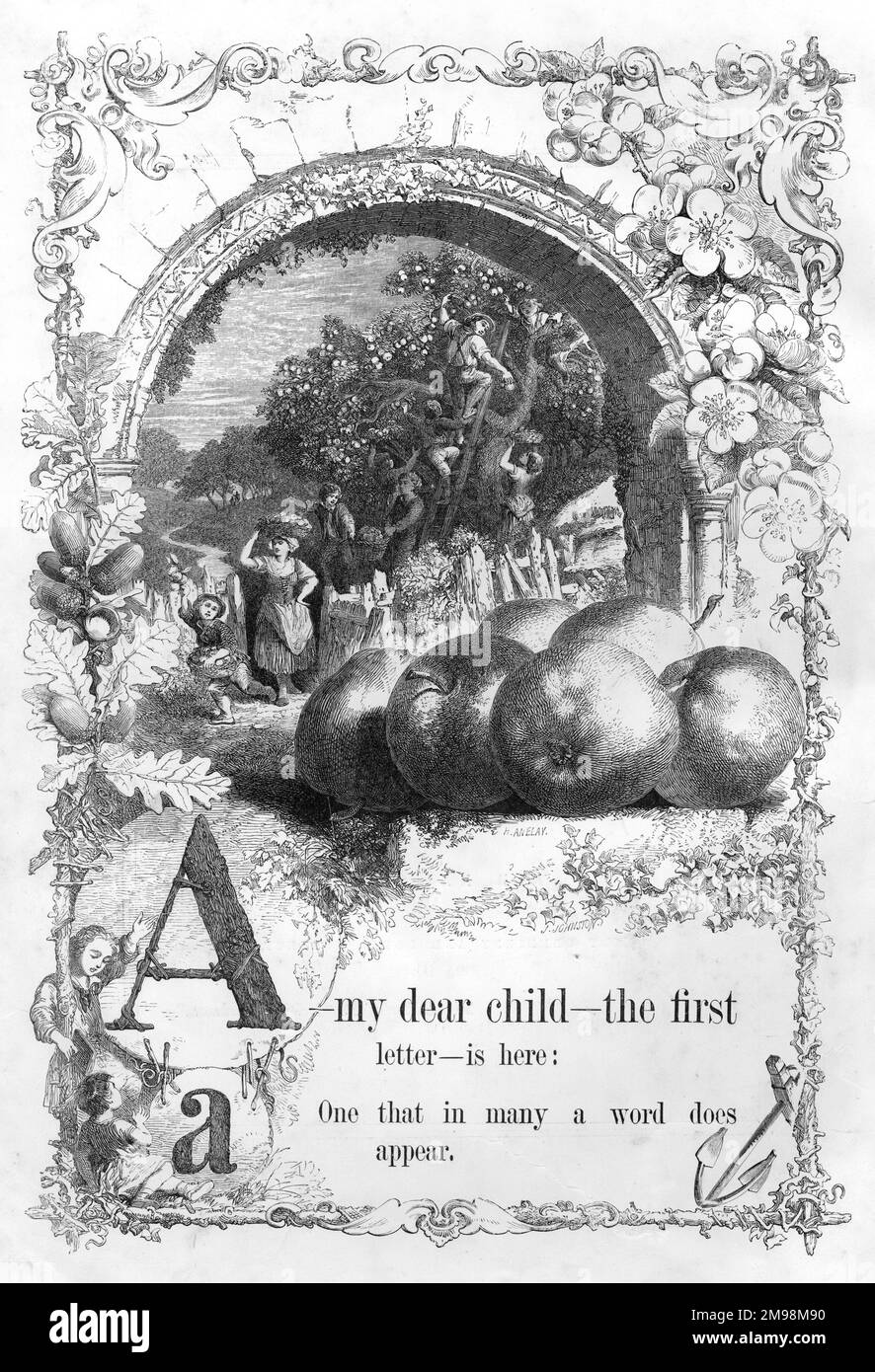 L'alfabeto dell'immagine della madre -- Un, che mostra la gente che raccoglie le mele in un frutteto. Foto Stock