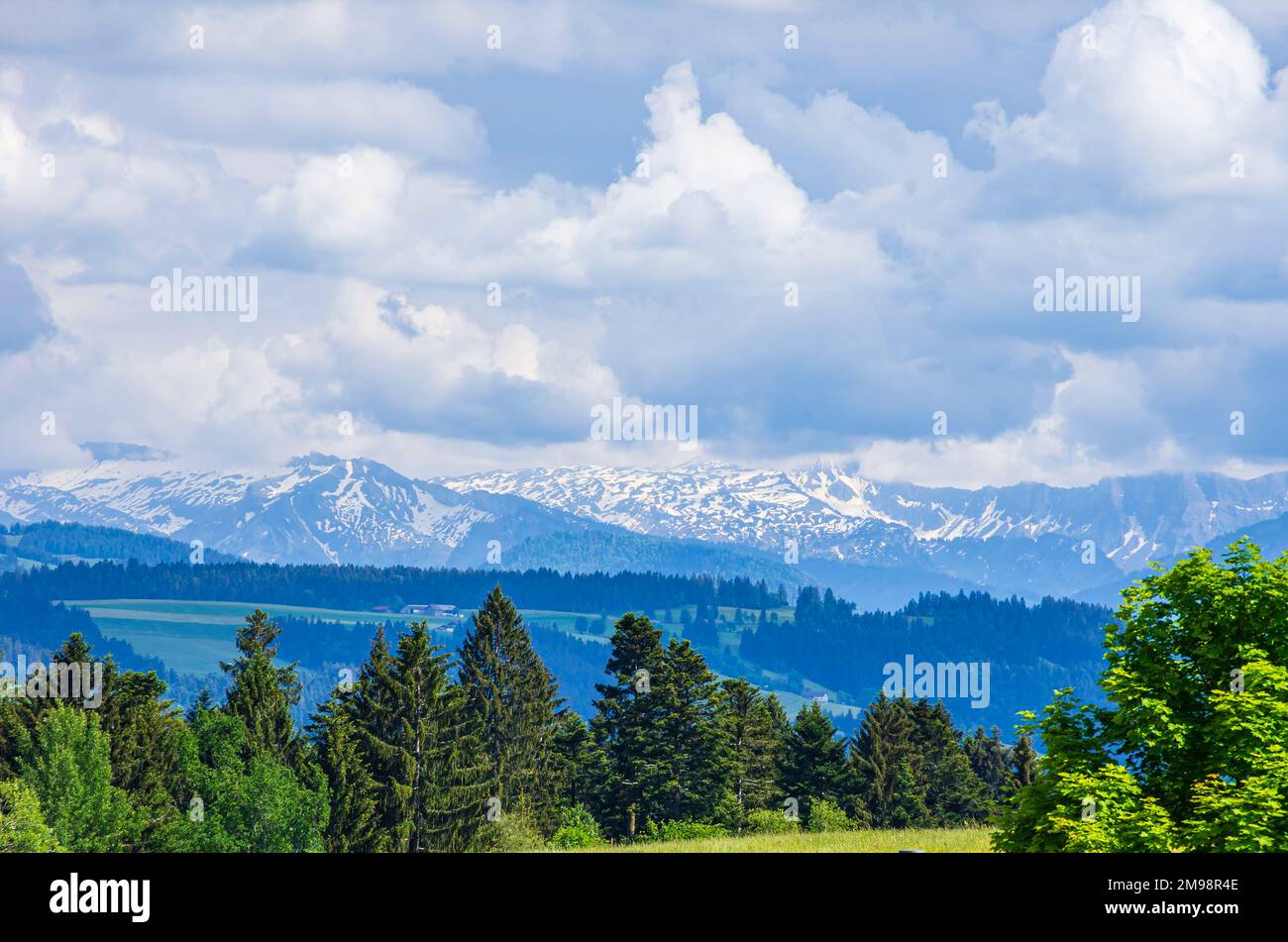 Paesaggio pittoresco e zona rurale nel Allgaeu occidentale intorno al comune di Scheidegg vicino a Lindau, Baviera, Germania. Foto Stock