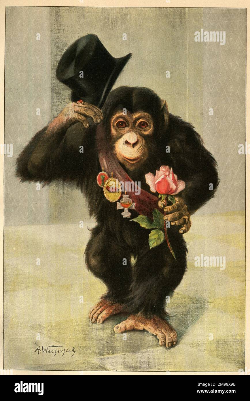 Felice anno nuovo - Chimpanzee alzando cappello e tenendo una rosa. Foto Stock