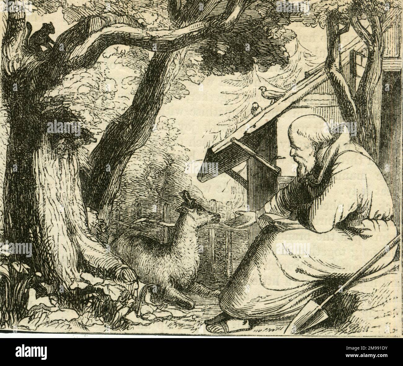 San Francesco d'Assisi. Foto Stock