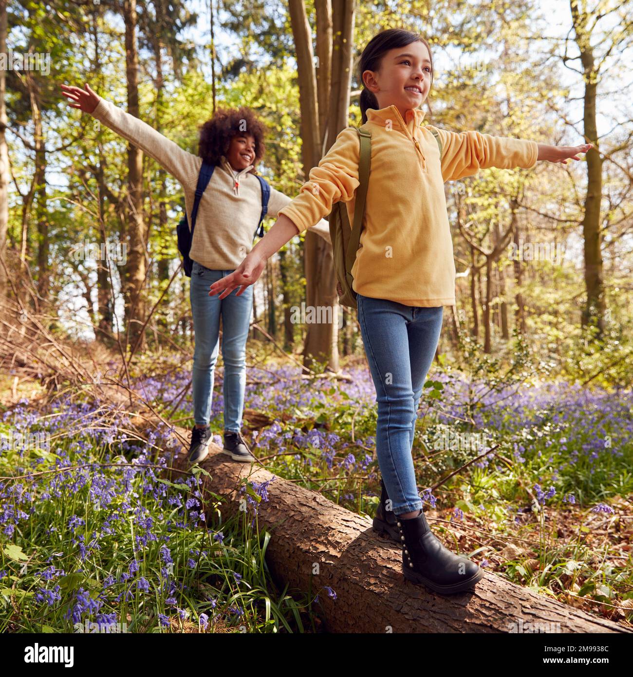 Due bambini che camminano attraverso Bluebell Woods in Springtime Balancing on Log Foto Stock