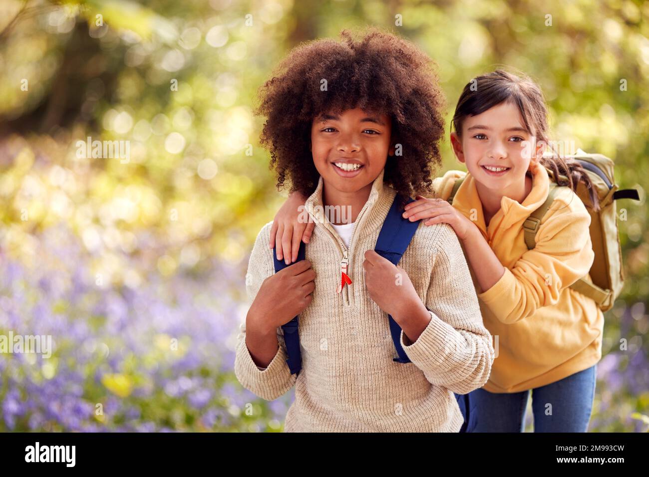 Ritratto di due bambini che camminano attraverso Bluebell Woods in primavera insieme Foto Stock