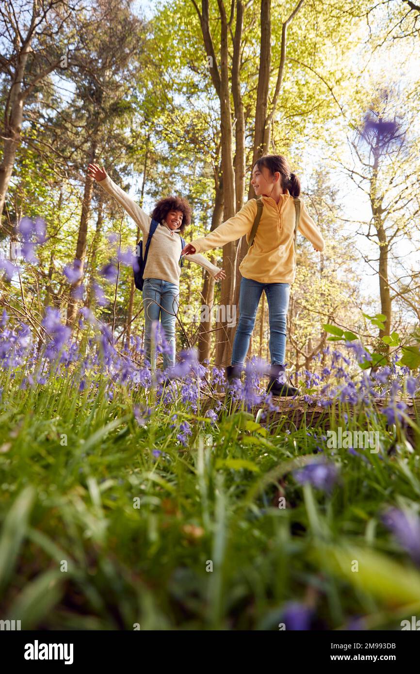 Basso angolo di tiro di due bambini che camminano attraverso Bluebell Woods in Springtime Balancing on Log Foto Stock