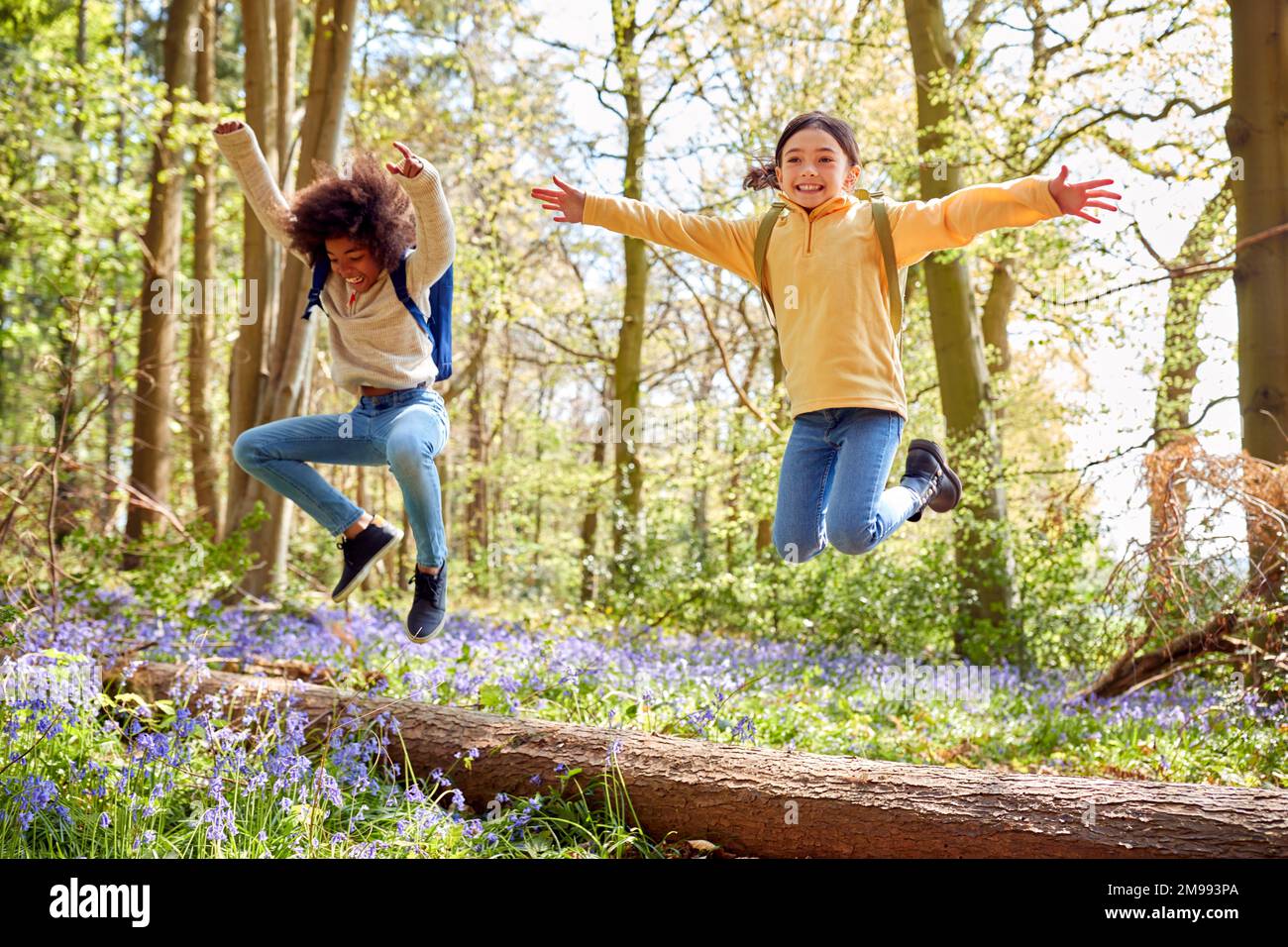 Due bambini che camminano attraverso Bluebell Woods in primavera saltando su Log Foto Stock