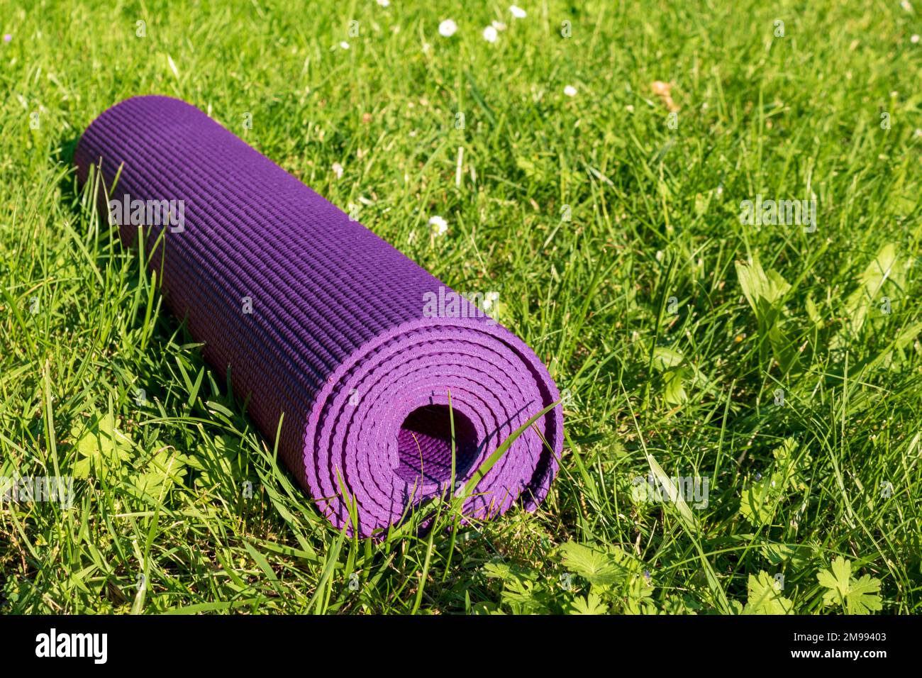 Tappeto ginnico arrotolato su erba verde con luce solare, primo piano. Concetto sportivo all'aperto con spazio copia Foto Stock