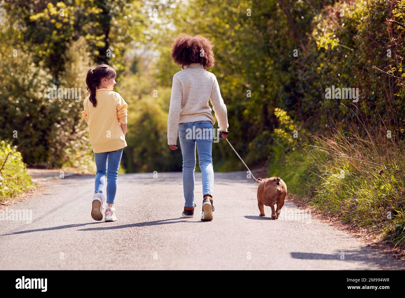 Vista posteriore di due bambini che camminano animale domestico francese Bulldog cane lungo Country Road Foto Stock