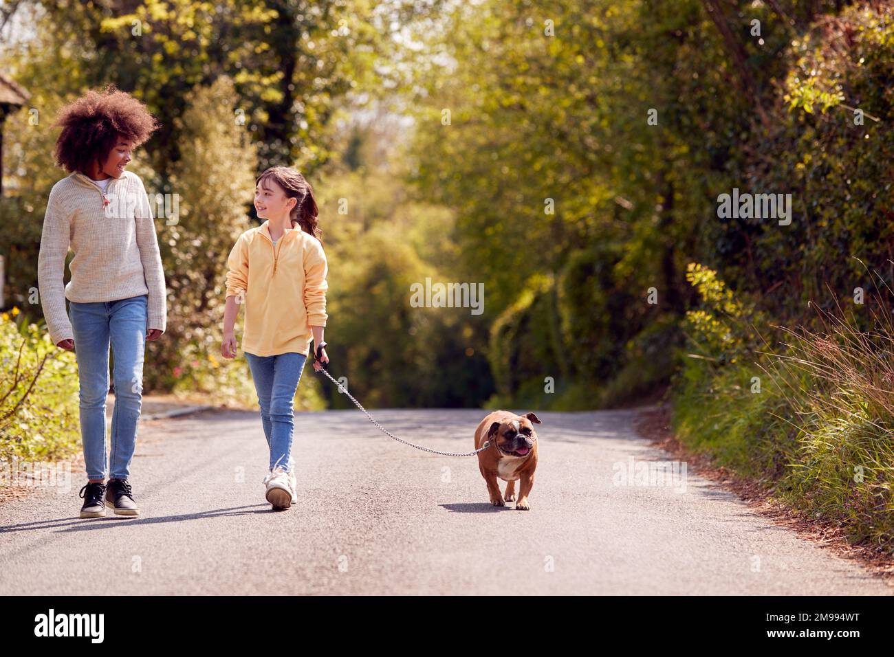 Due bambini che camminano PET French Bulldog Dog lungo Country Road Foto Stock