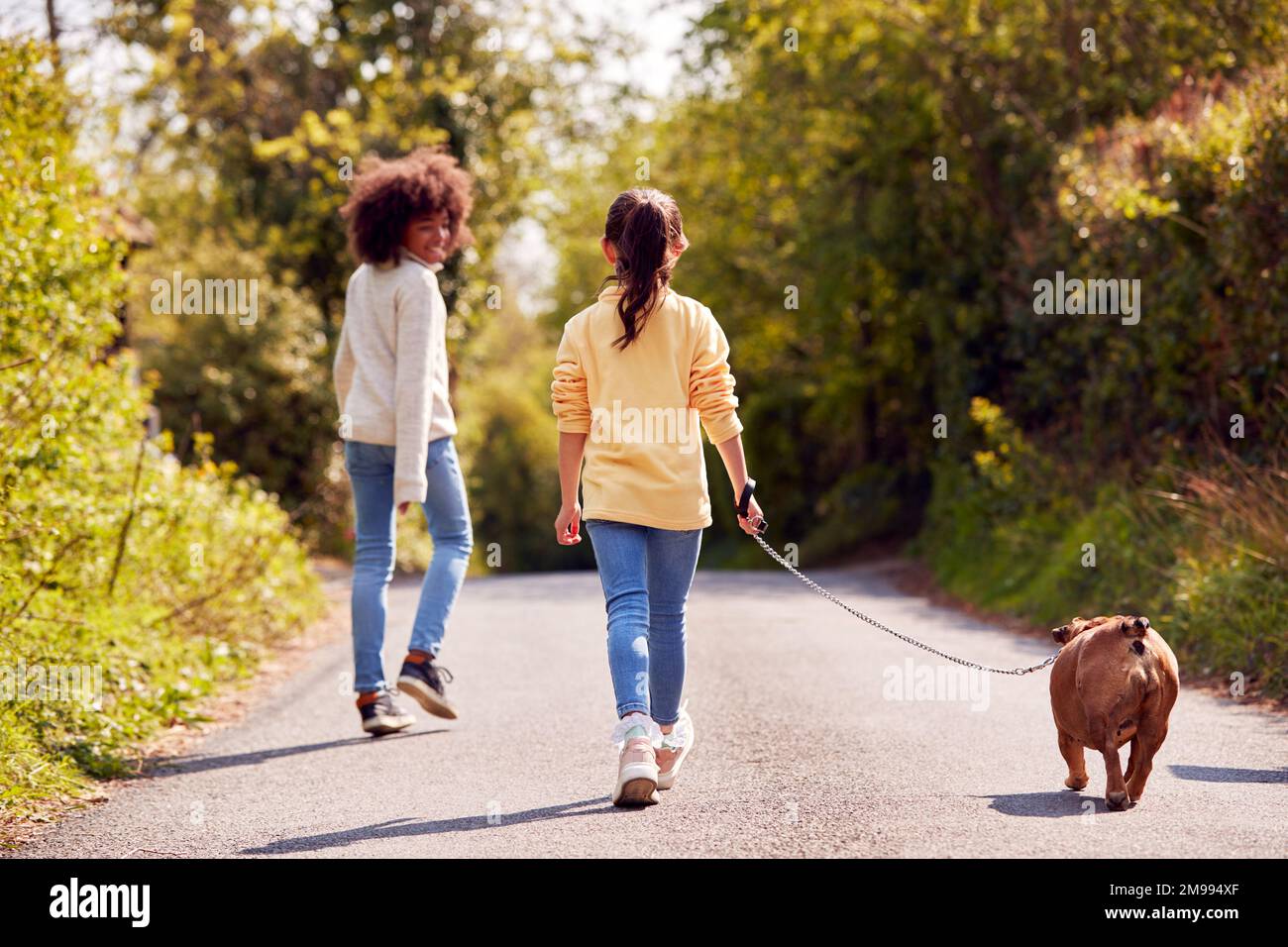Vista posteriore di due bambini che camminano animale domestico francese Bulldog cane lungo Country Road Foto Stock