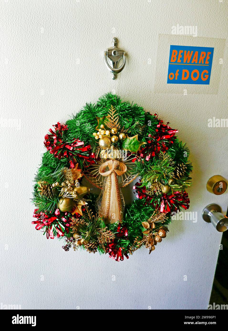 La corona di Natale pende sulla porta di casa accanto al segnale di avvertimento del cane. Foto Stock