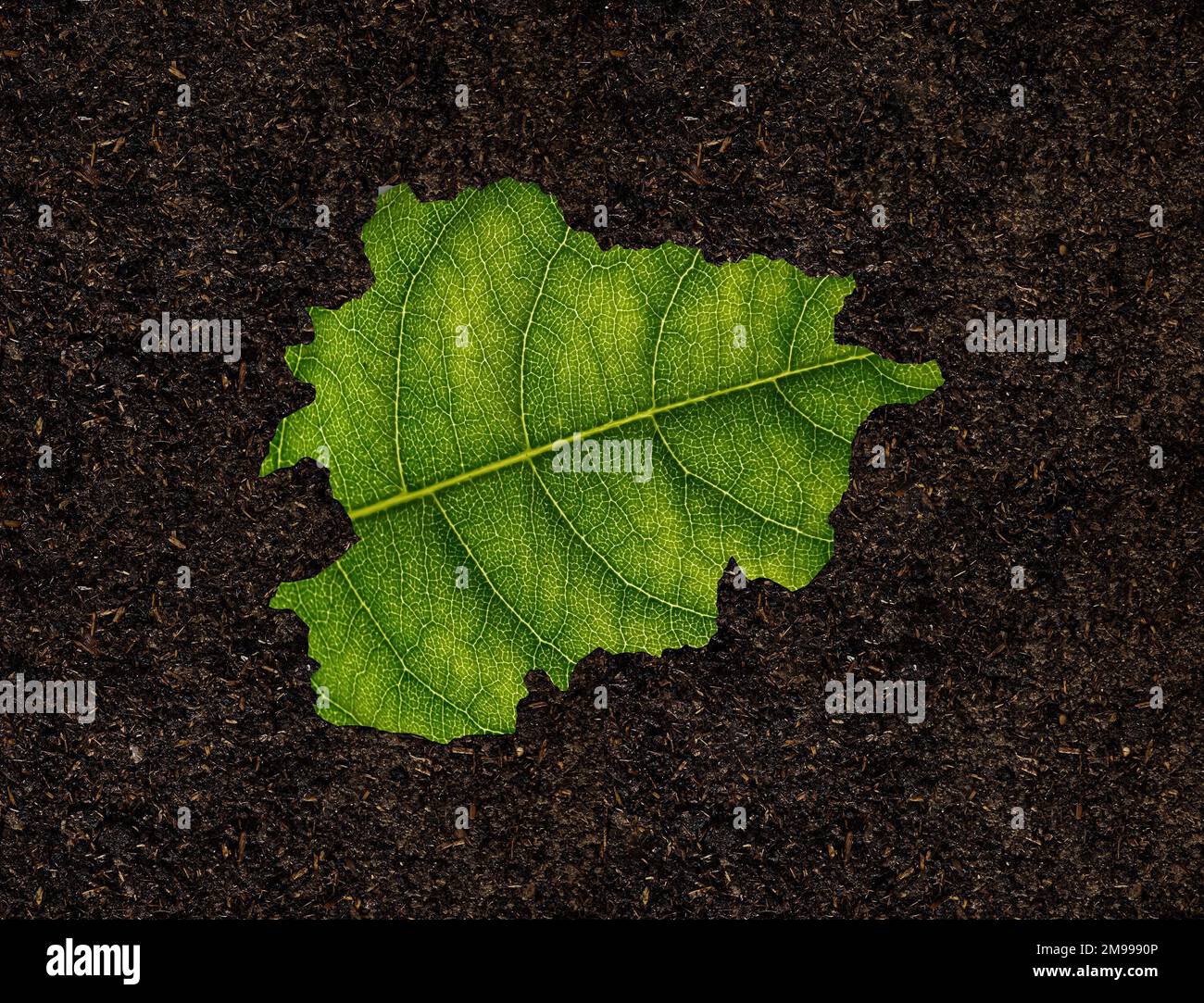 Un primo piano di una mappa di Andorra fatta di una foglia verde su sfondo del suolo - concetto di ecologia Foto Stock