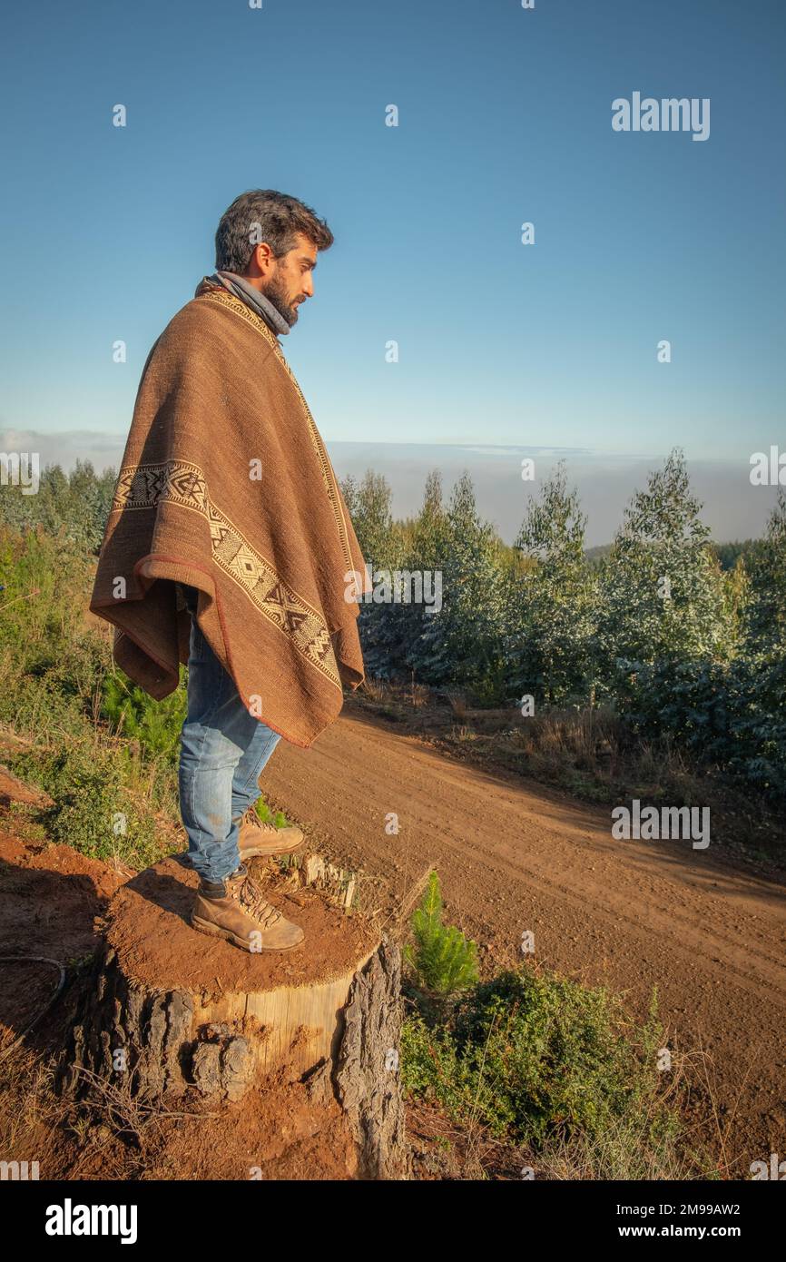 Uomo cileno che si affaccia sulla foresta cilena indossando un camanto marrone che guarda il WRC Rally del Cile dalla cima di un ceppo di albero abbattuto. Sole basso, cielo blu Foto Stock