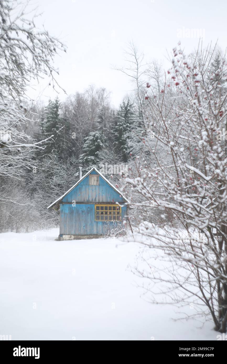 panorama invernale paesaggio con casa in legno nella foresta. Capanna coperta di neve. Vacanza di Natale e vacanza invernale concetto Foto Stock