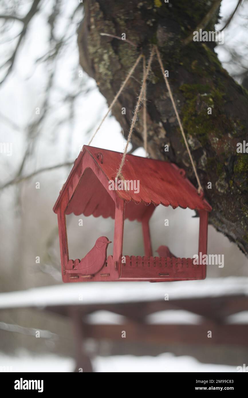 Primo piano di un alimentatore di uccelli su un albero sotto la neve nella foresta. Foto Stock