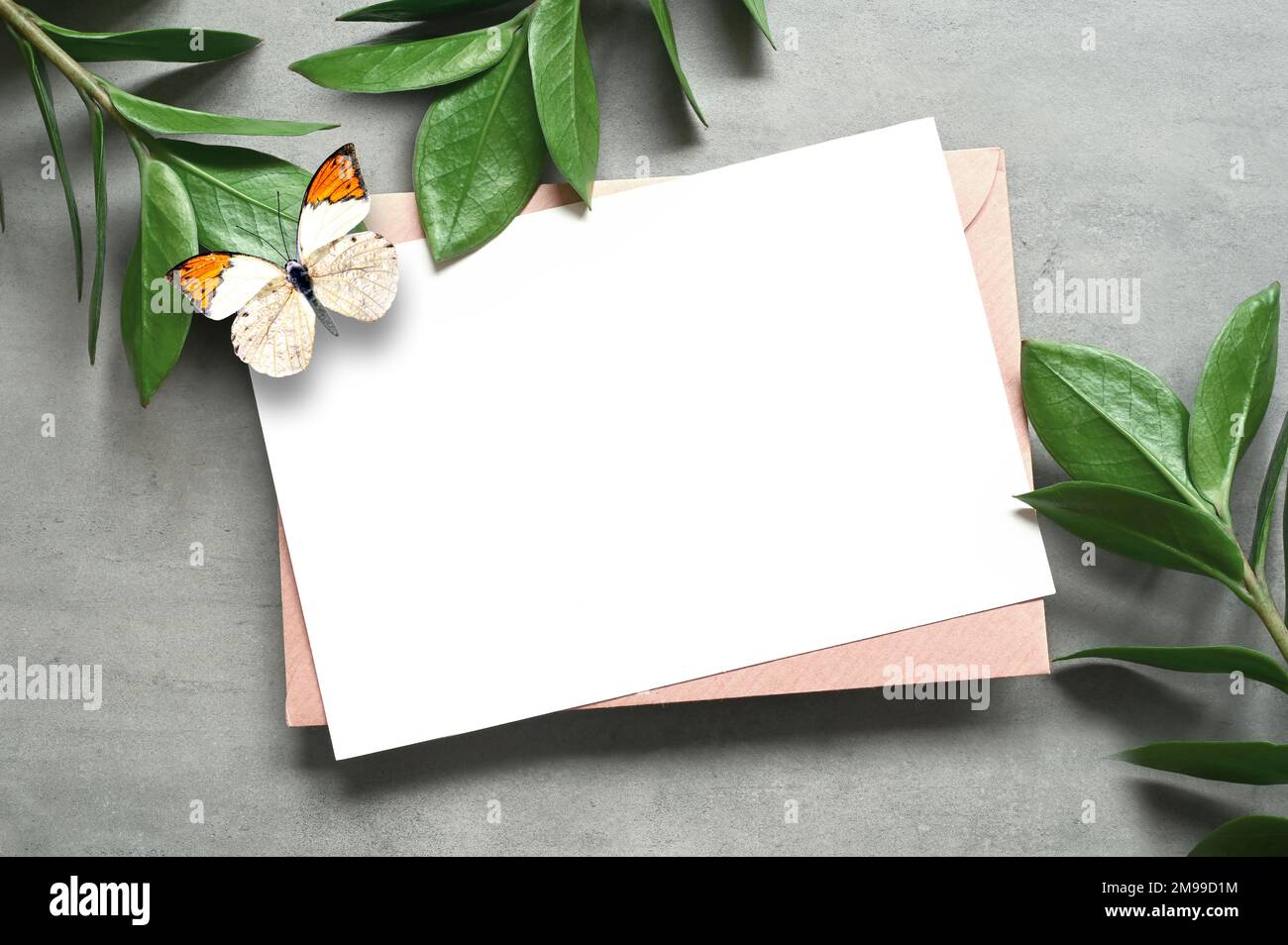 Mock up card con foglia di zamioculcas e farfalla. Biglietto d'invito con busta su sfondo grigio. Foto Stock