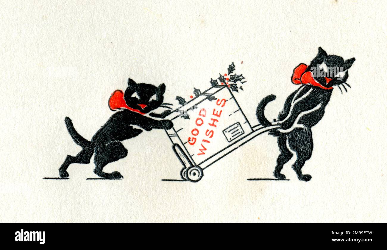 Gatti neri su un biglietto di Natale di auguri. Foto Stock