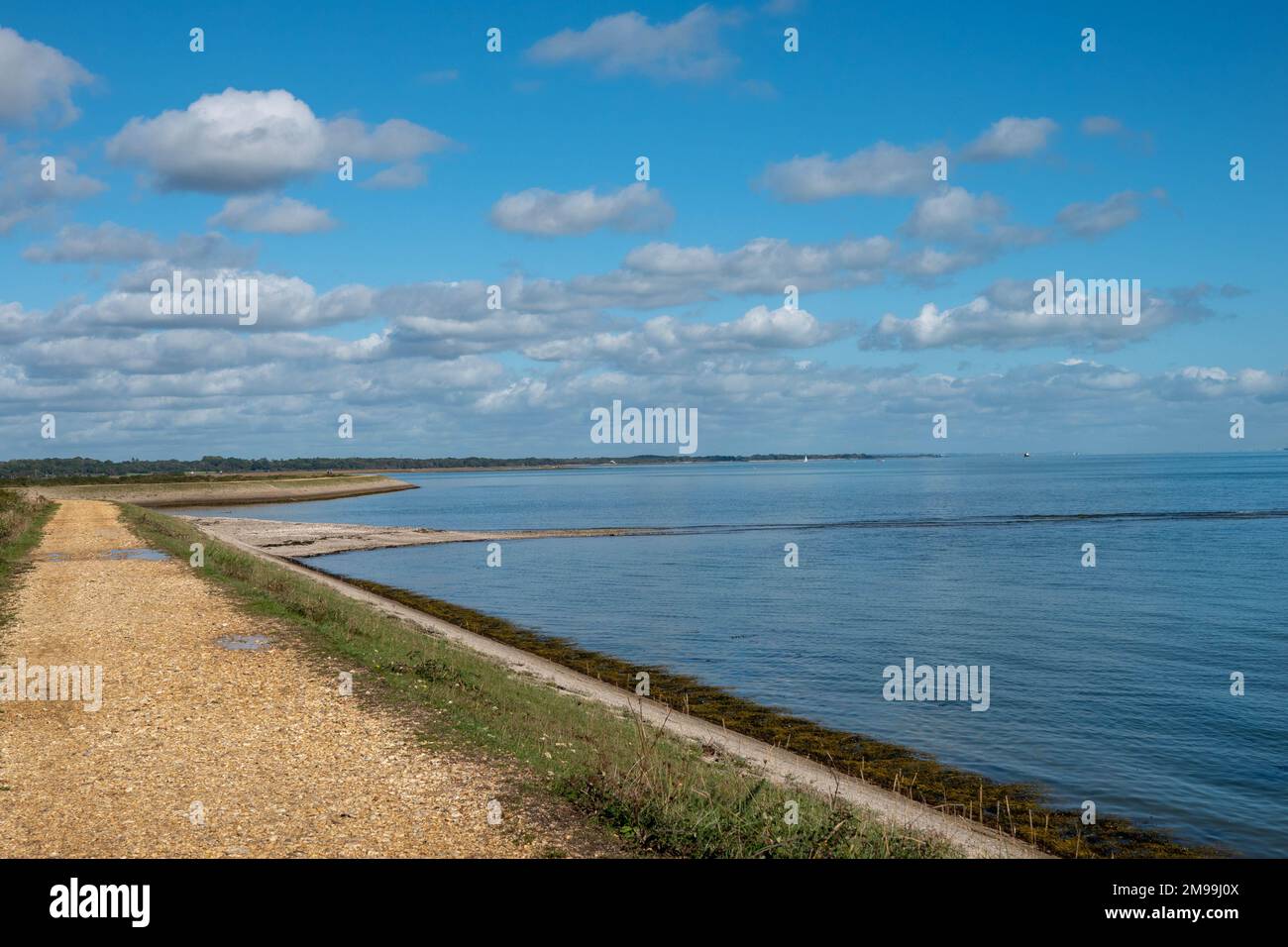 Sentiero lungo il sentiero Solent Way a Lymington Hampshire Inghilterra in una giornata estiva soleggiata Foto Stock