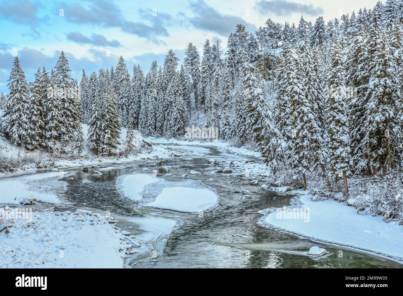 Lamar fiume in inverno al di sopra di slough creek nel parco nazionale di Yellowstone, wyoming Foto Stock