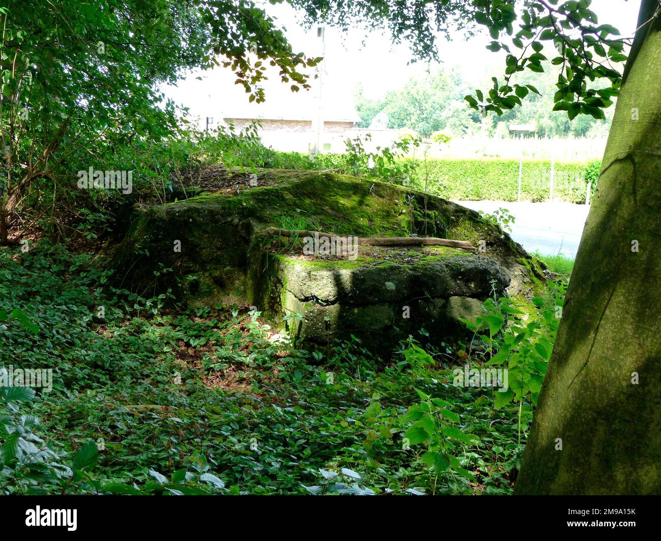 Bunker, Foresta di Shrewsbury, zona di Ypres Foto Stock