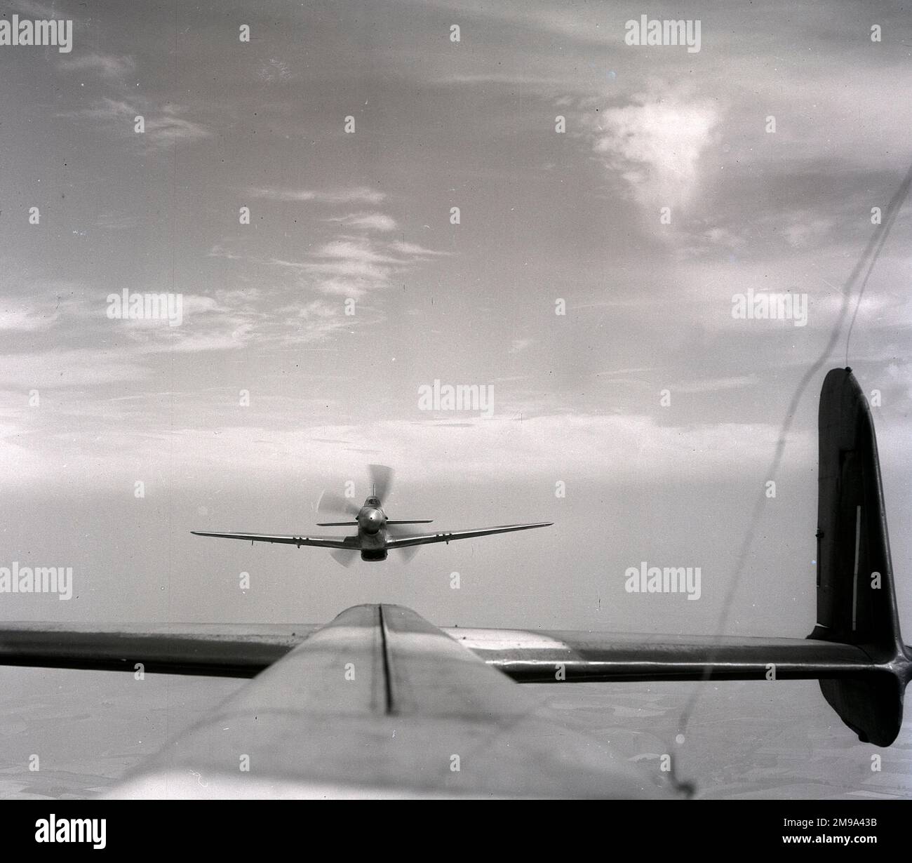 Royal Air Force North American Mustang IV Foto Stock