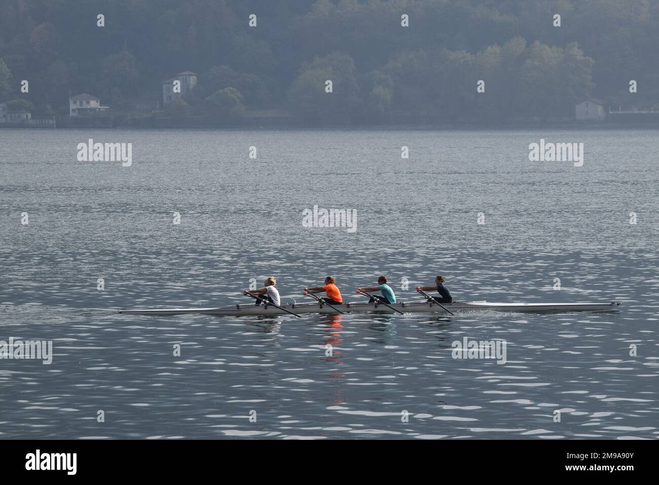 Canottiere sul Lago di Como Foto Stock