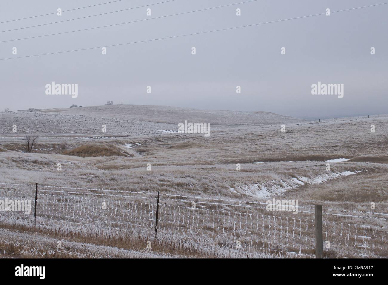 Recinzione e praterie congelate in una fredda e nebbia giornata grigia a Gillette, Wyoming. Foto Stock