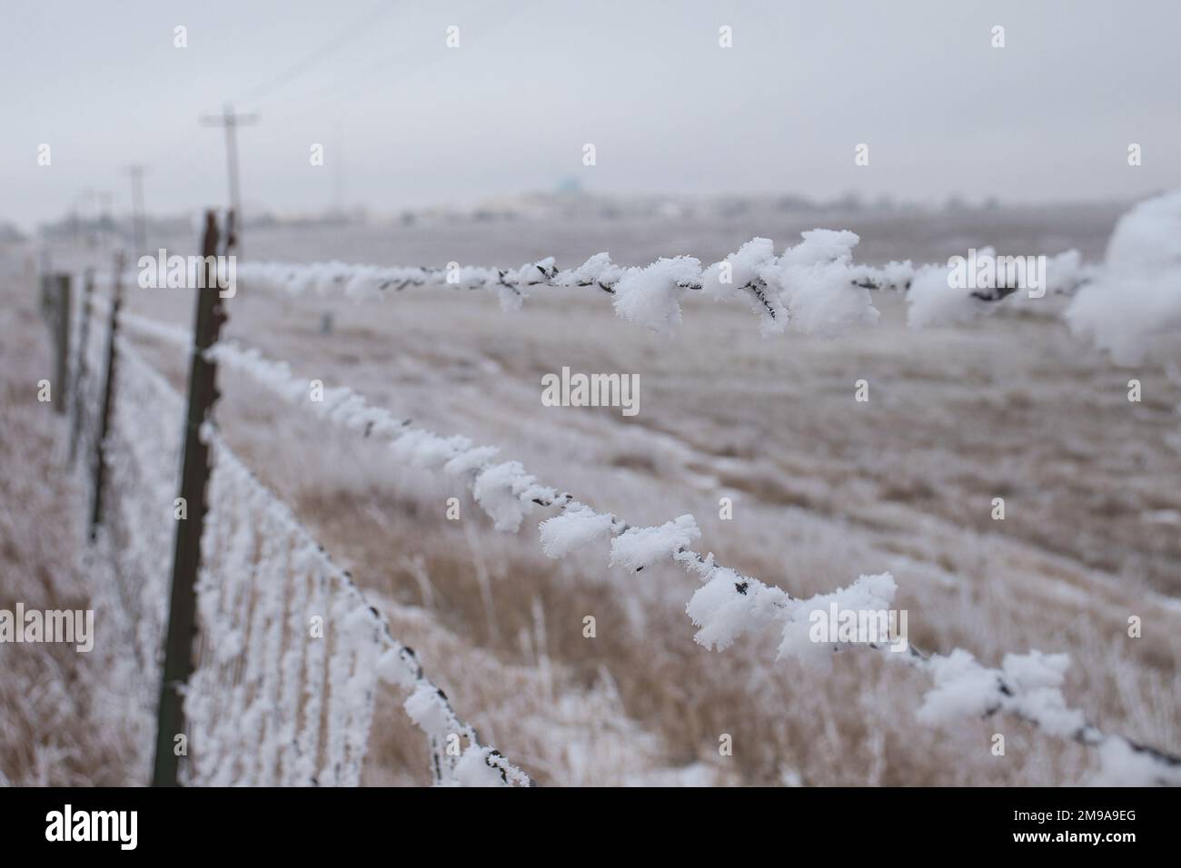 Ghiaccio bianco e neve che ricoprono una recinzione di filo spinato in una fredda giornata invernale a Gillette, Wyoming. Foto Stock