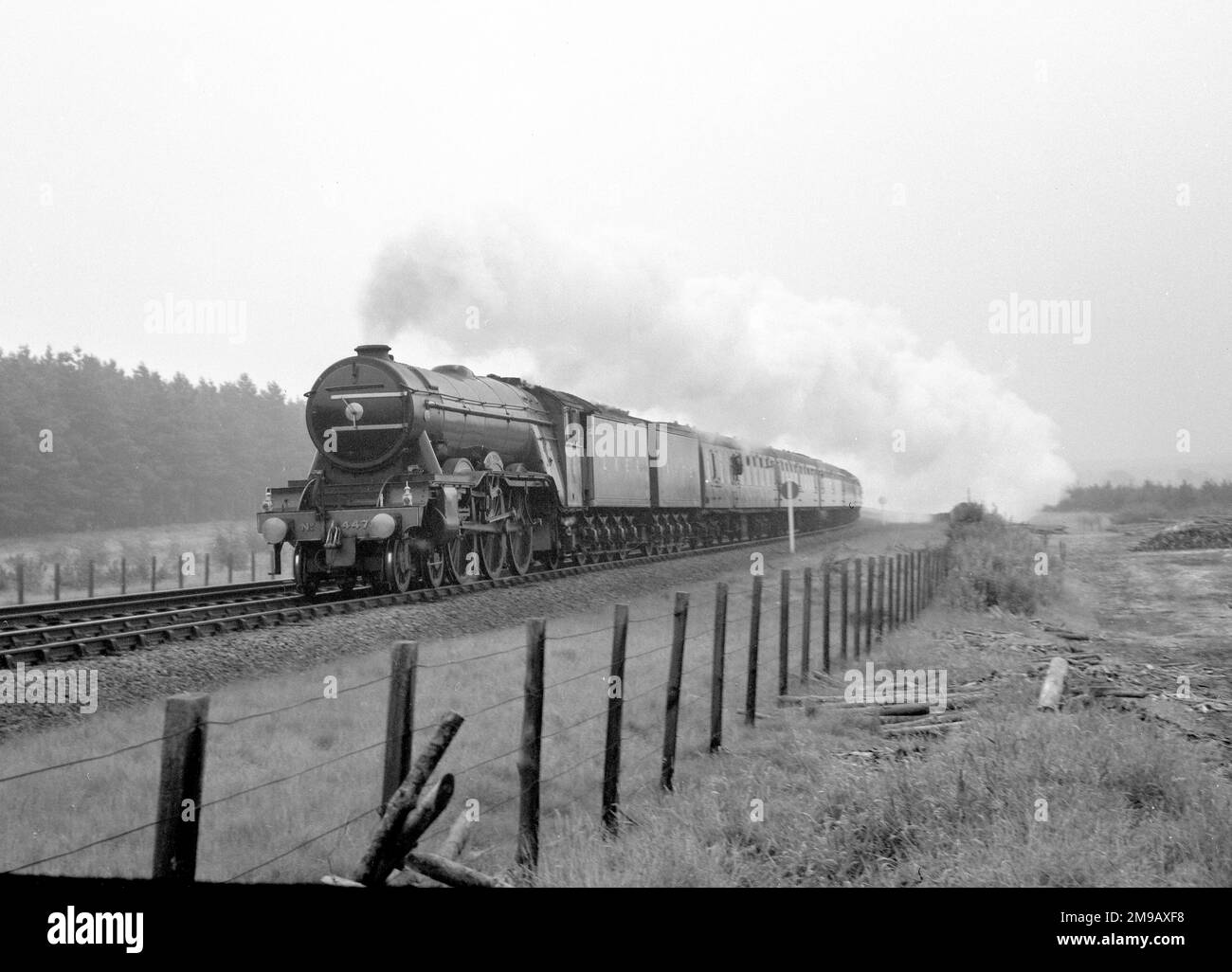 4472 'Flying Scotsman', una locomotiva LNER classe A3, sulla linea principale, a velocità, circa 1967. LNER Class A3 4472 'Flying Scotsman' è una locomotiva a vapore del Pacifico 4-6-2, costruita nel 1923 per la London and North Eastern Railway (LNER) presso Doncaster Works su progetto di Nigel Gresley. Fu impiegato sui treni a lunga distanza Express East Coast Main Line dalla LNER e dai suoi successori, British Railways Eastern e North-Eastern Regions, in particolare sul servizio ferroviario Flying Scotsman da Londra a Edimburgo, da cui fu chiamato. Foto Stock