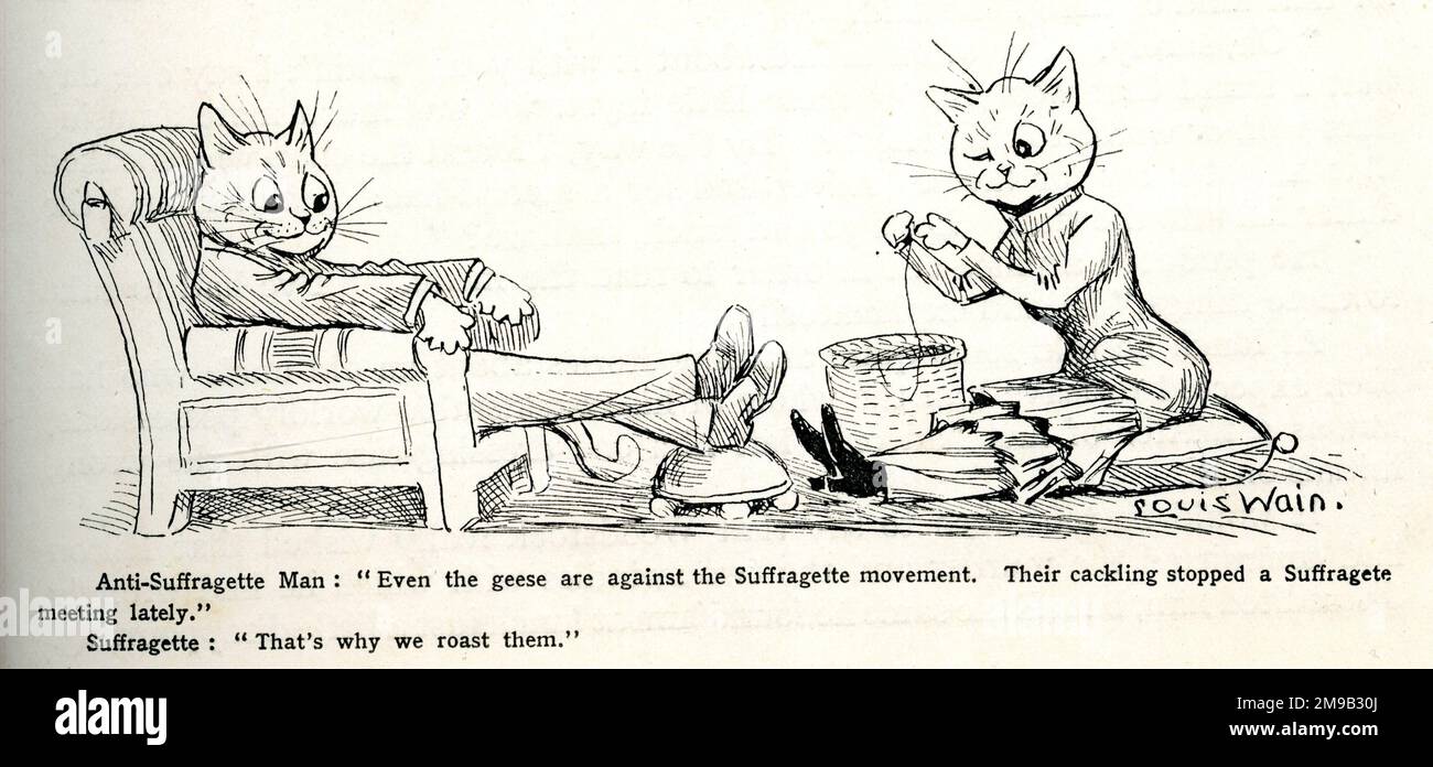 Fumetto politico suffragette, Comical Cats, di Louis Wain. Foto Stock