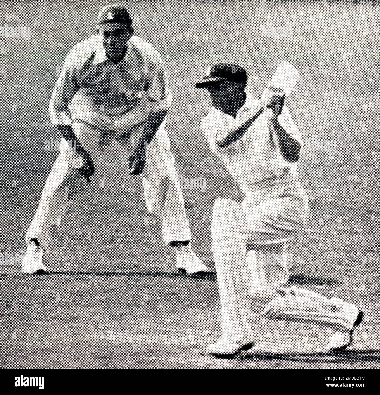 Il cricketer australiano Don Bradman battendo a Perth, Hammond nelle scivolature Foto Stock