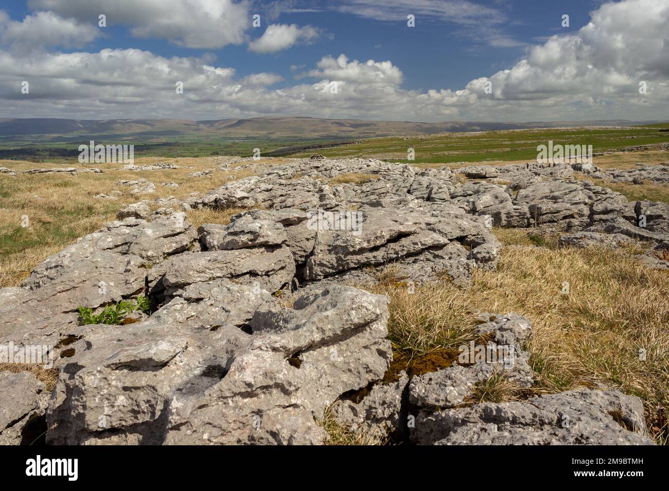 Cumbria, Regno Unito: Pavimentazione calcarea sulla riserva naturale Great Asby Scart e sul sito di interesse scientifico speciale (SSSI) Foto Stock