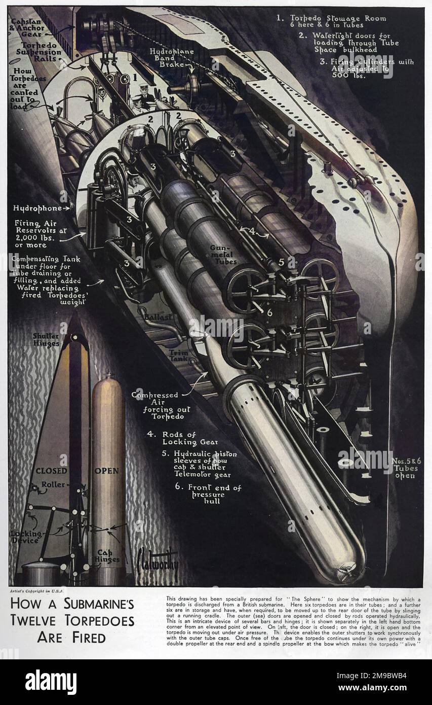 Disegno per spiegare come vengono sparati i dodici siluri di un sottomarino britannico. Qui sei torpoedi sono mostrati nei loro tubi, e altri sei sono in stoccaggio e devono, quando richiesto, essere spostati fino alla porta posteriore del tubo mediante imbracatura di una culla di corsa. Le porte esterne (marittime) vengono aperte e chiuse da aste azionate idraulicamente. Foto Stock