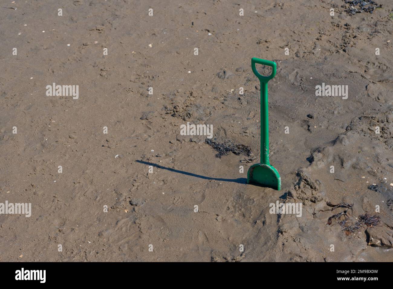 Shover di plastica verde in piedi sulla sabbia della spiaggia. Foto Stock