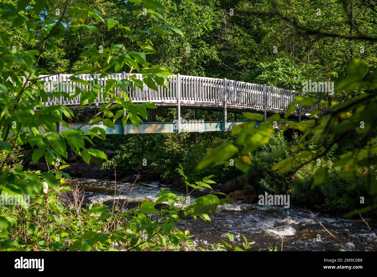 Un piccolo ponte su un piccolo fiume situato nel Laurentians, Quebec, Canada. Preso su un pomeriggio di estate di sole senza gente. Foto Stock