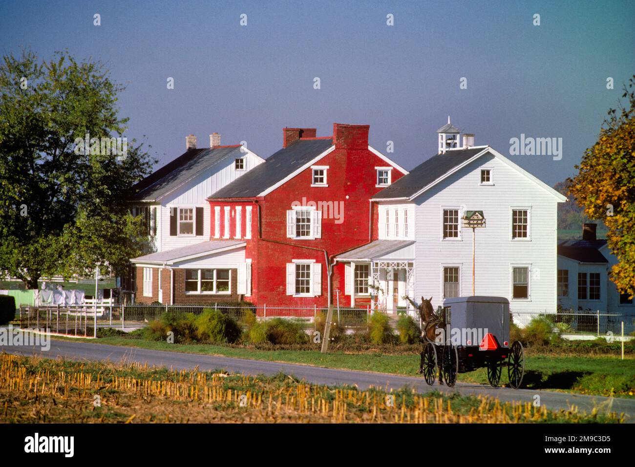 1980S AMISH CAVALLO E VAGONE SULLA STRADA DI CAMPAGNA PASSANDO DIVERSI CASALI IN MATTONI DI FRONTE STRADA LANCASTER COUNTY PA USA - 072701 RWN001 HARS LIBERTÀ GRANDANGOLO PASSANTE MAMMIFERI PROPRIETÀ LANCASTER E SCELTA PA IMMOBILIARE STRUTTURE CONCETTUALI KEYSTONE STATO VAGONI ALLA MODA EDIFICIO SEMPLICE VITA AGRITURISMI MAMMIFERO PENNSYLVANIA OLANDESE DIVERSI TOGETHERNESS VECCHIO STILE Foto Stock