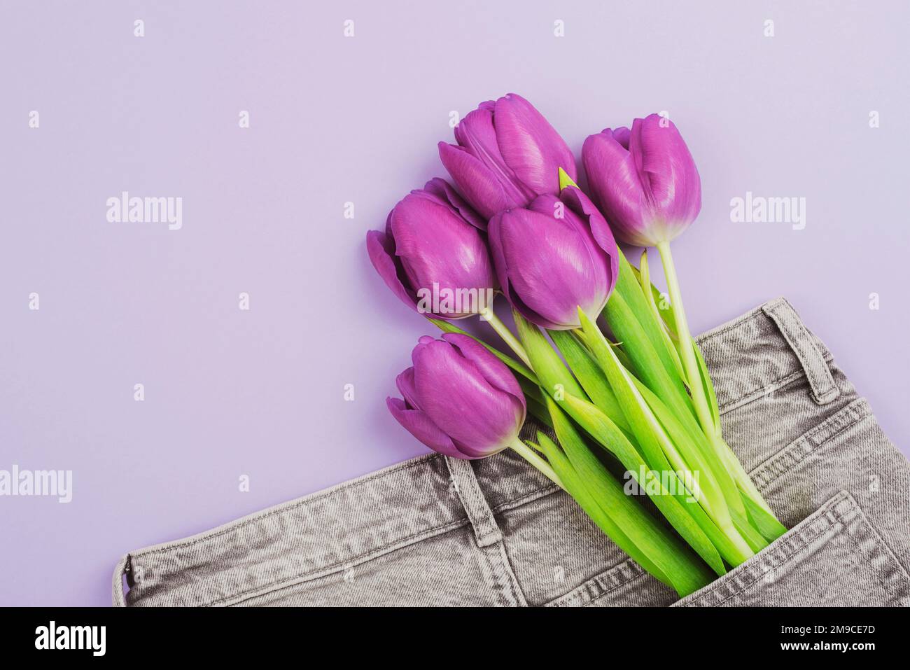 Bouquet di tulipani viola in una tasca di jeans grigi. Concetto di vacanze primaverili. Vista dall'alto, disposizione piatta. Spazio di copia. Foto Stock