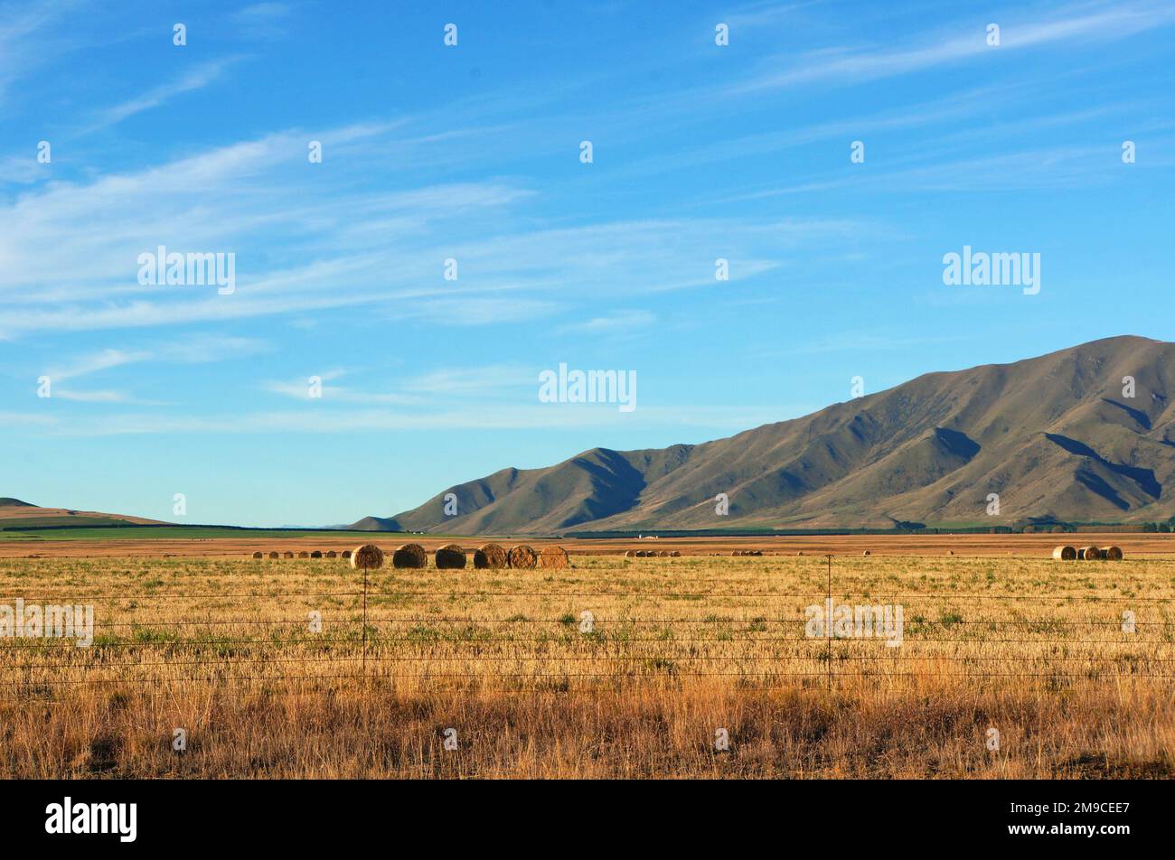 Panoramica Mackenzie District, South Canterbury, Nuova Zelanda ombreggiato blu catena montuosa e terreni agricoli secchi sotto il cielo blu brillante autunno. Foto Stock