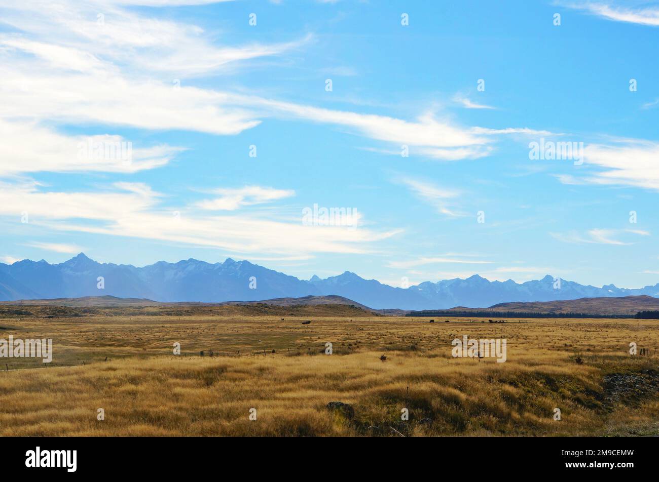 Panoramica Mackenzie District, South Canterbury, Nuova Zelanda ombreggiato blu catena montuosa e terreni agricoli secchi sotto il cielo blu brillante autunno. Foto Stock